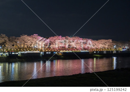 ライトアップされた白石川堤一目千本桜　宮城県大河原町 125199242