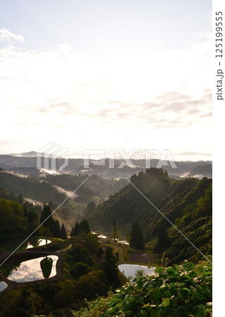朝の山古志一本杉の棚田棚池(新潟県) 朝の山古志一本杉の棚田棚池(新潟県) 125199555