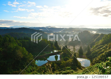 朝の山古志一本杉の棚田棚池（新潟県） 125199557