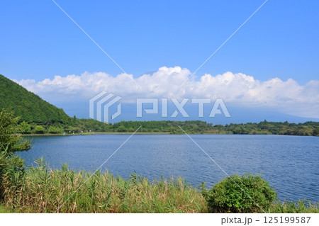 静岡県・富士宮市・田貫湖 125199587