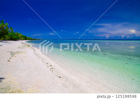 オセアニア・ポリネシアの島国ツバル　首都のフナフティ環礁フォンガファレ島のラグーンとビーチ 125199598