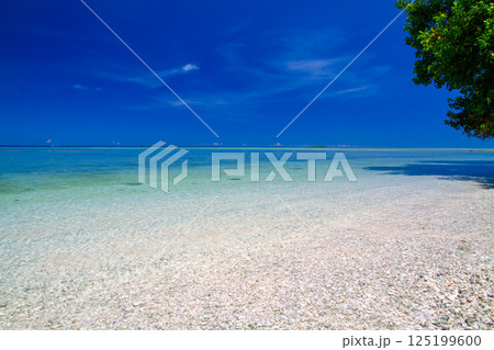 オセアニア・ポリネシアの島国ツバル 首都のフナフティ環礁フォンガファレ島の青が鮮やかなラグーン オセアニア・ポリネシアの島国ツバル 首都のフナフティ環礁フォンガファレ島の青が鮮やかなラグーン 125199600