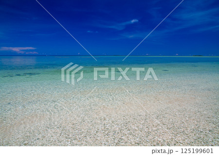 オセアニア・ポリネシアの島国ツバル　首都のフナフティ環礁フォンガファレ島の青が鮮やかなラグーン 125199601