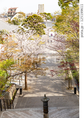 神戸・須磨寺の龍華橋と仁王門 125199611