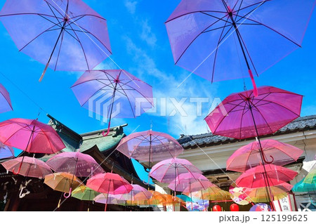 五泉八幡宮　アンブレラスカイ（新潟県） 125199625