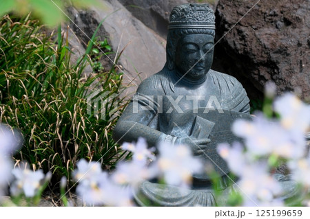 シャガの花にかこまれた宇賀神社の弁財天様 125199659