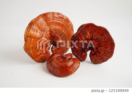 Lingzhi or Reishi mushroom with capsules, organic natural healthy food. Lingzhi or Reishi mushroom with capsules, organic natural healthy food. 125199840