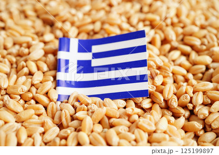 Greece flag on grain wheat, trade export and economy concept. 125199897