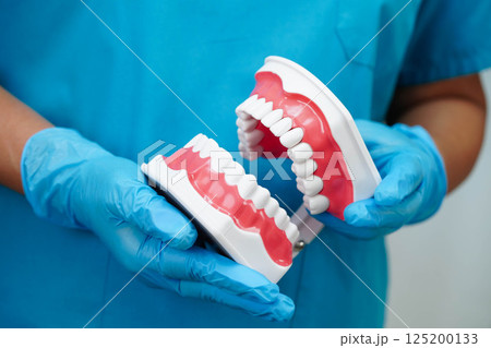 Asian dentist holding dental teeth model for learn about dentistry. 125200133