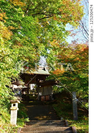 福満虚空蔵尊円蔵寺の紅葉（福島県） 125200474
