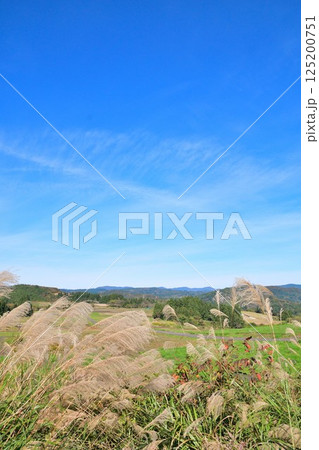 上原高原コスモス園の眺め（新潟県） 125200751