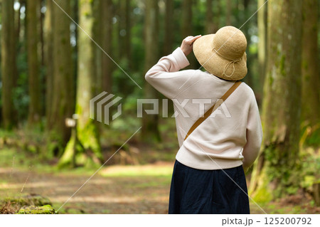 山奥の原生林を散策するミドル女性 125200792