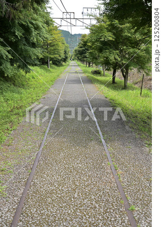 中山道坂本宿散歩：アプトの道　廃線跡の遊歩道　群馬県安中市　 125200804