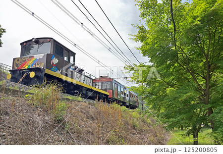 中山道坂本宿散歩：トロッコ列車｢シェルパくん｣　群馬県安中市　 125200805