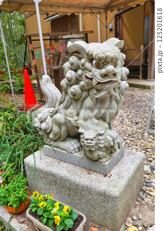 京都　伏見神宝神社の狛犬（京都府京都市伏見区） 125201618