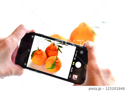 携帯電話で花の写真を撮るシニア 125201848