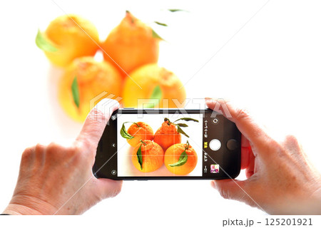 携帯電話で花の写真を撮るシニア 携帯電話で花の写真を撮るシニア 125201921