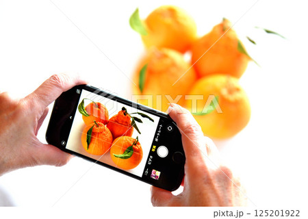 携帯電話で花の写真を撮るシニア 携帯電話で花の写真を撮るシニア 125201922