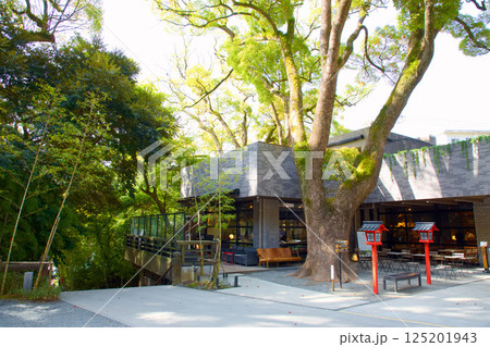 來宮神社　参集殿 125201943