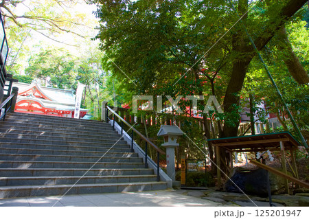 來宮神社 参道 來宮神社 参道 125201947
