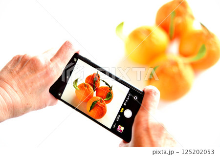 携帯電話で花の写真を撮るシニア 125202053