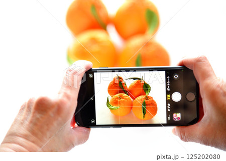 携帯電話で花の写真を撮るシニア 携帯電話で花の写真を撮るシニア 125202080