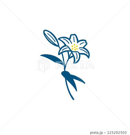 1本に花とつぼみがあるユリの花のカラーイラスト 125202503