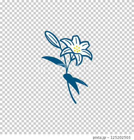1本に花とつぼみがあるユリの花のカラーイラスト 125202503