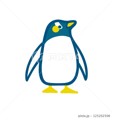 堂々と背を伸ばして立っているジェンツーペンギンのカラーイラスト 125202506