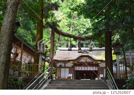 奈良　大神神社 125202607