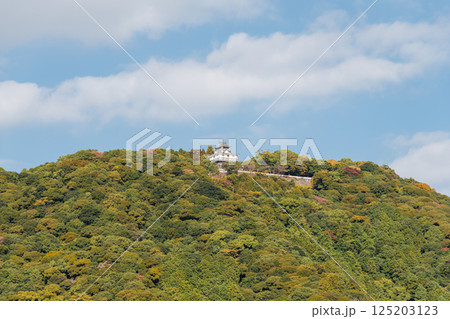 【岩国城】 【岩国城】 125203123