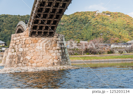 【錦帯橋の裏側と岩国城】 125203134