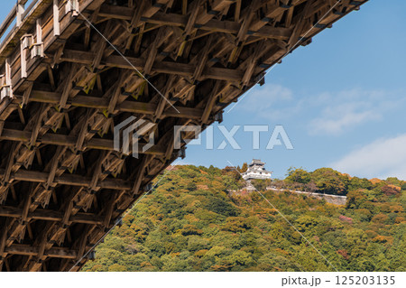 【錦帯橋の裏側と岩国城】 125203135