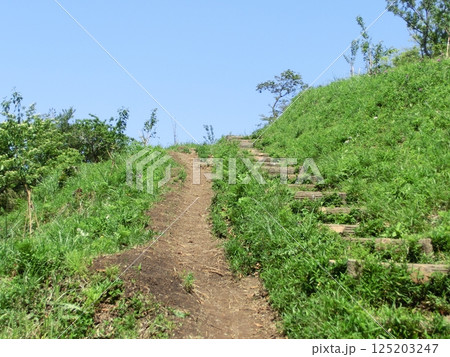 仙元山のハイキング道 仙元山のハイキング道 125203247