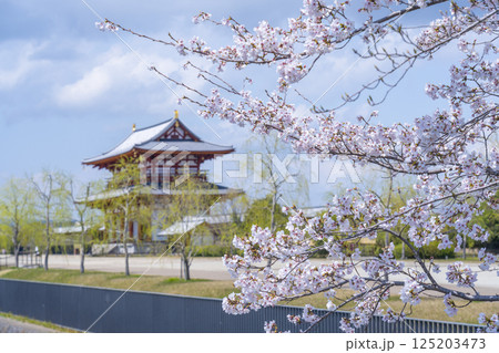 平城京朱雀門と満開の桜 125203473