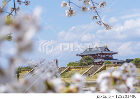 第二次大極殿跡の基壇と第一次大極殿に桜 125203486