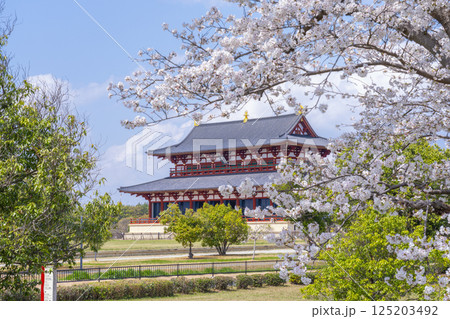 平城京 第一次大極殿と桜 平城京 第一次大極殿と桜 125203492