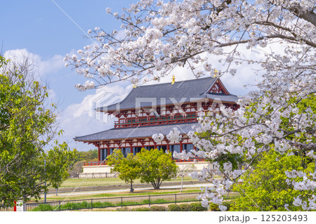 平城京　第一次大極殿と桜 125203493