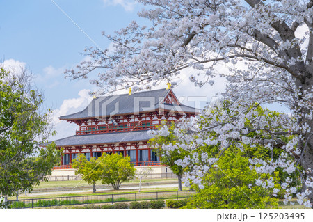 平城京 第一次大極殿と桜 平城京 第一次大極殿と桜 125203495