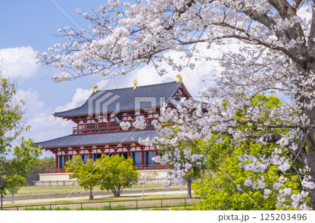 平城京　第一次大極殿と桜 125203496