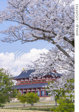平城京　第一次大極殿と桜 125203501