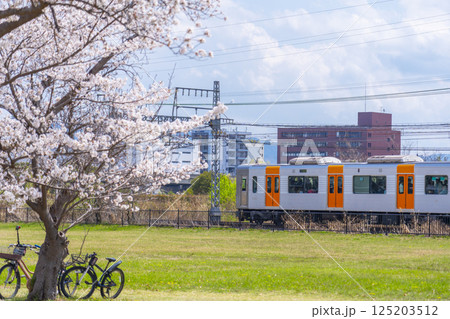 平城宮跡歴史公園　桜と近鉄電車 125203512