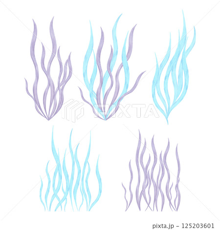 Set of blue, purple seaweed. Watercolor illustration. Marine clipart of underwater plants. Hand drawn isolated art. Ocean flora plants. For marine theme, cosmetology, spa, children, tourism projects 125203601