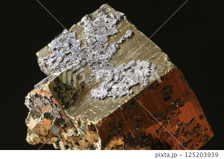 共生鉱物(黄鉄鉱/方鉛鉱) 共生鉱物(黄鉄鉱/方鉛鉱) 125203939