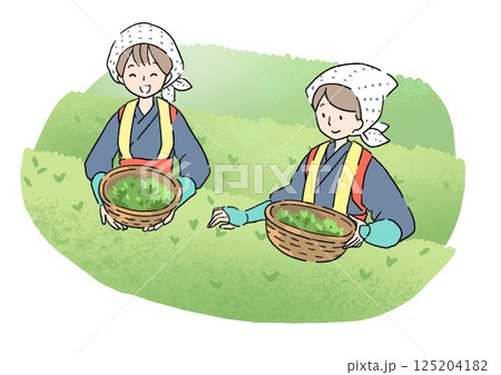 茶摘み人のイラスト 125204182