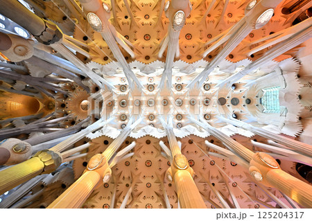 サグラダ・ファミリア大聖堂 125204317