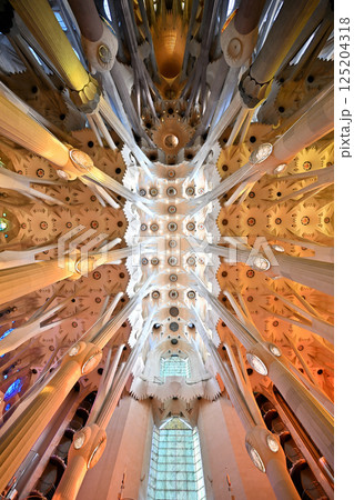 サグラダ・ファミリア大聖堂 125204318
