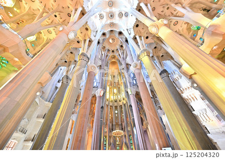 サグラダ・ファミリア大聖堂 125204320
