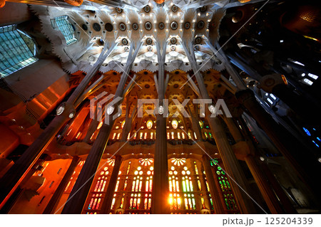 サグラダ・ファミリア大聖堂 125204339