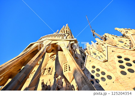 サグラダ・ファミリア大聖堂 125204354